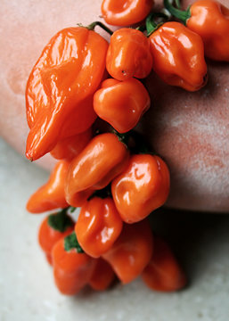 chili I