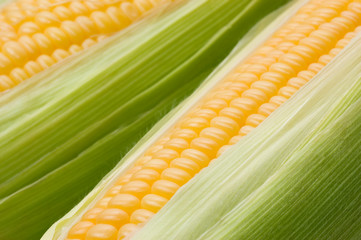 Corn