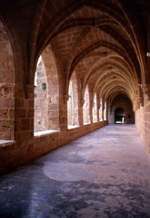 Fototapeta na wymiar Natural Park of Monasterio de Piedra (Zaragoza) Hiszpania