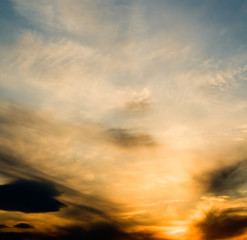 Obraz na płótnie Canvas The sunset.