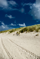 Spur im Strand