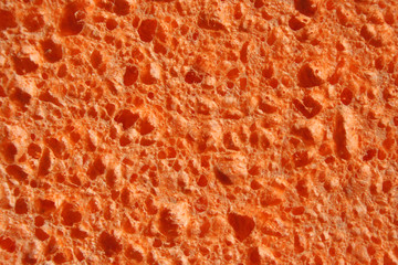 Orange Sponge background