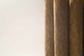 Cigar