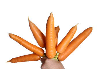 hand with carrot
