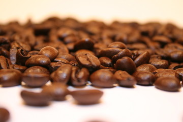 Kaffeebohnen