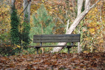 Fall bench