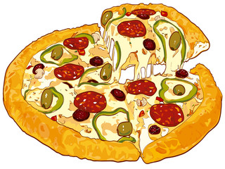 Vector. Fresh pizza