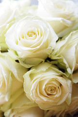 wedding roses