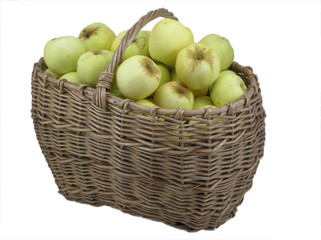 Green apples in basket isolated