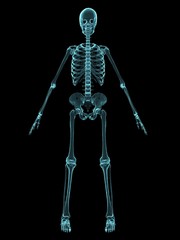 röntgenansicht eines skeletts