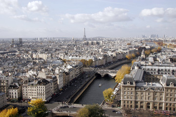 Paris vu des tours de la cathédrale Notre-Dame