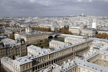 Fototapeta na wymiar Paris zobaczyła wieże katedry Notre Dame