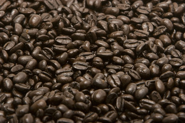 Coffee beans