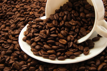 Cup with coffee beans