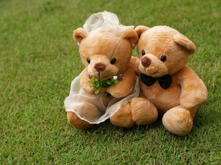 Wedding Bears on the Botany Garden - 5008211