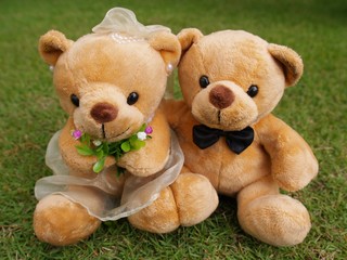 Wedding Bears on the Botany Garden - 5008219