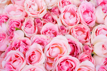 wedding bridal roses from above of "floral backgrounds" series