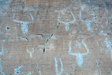 Gravures rupestres de Casterino