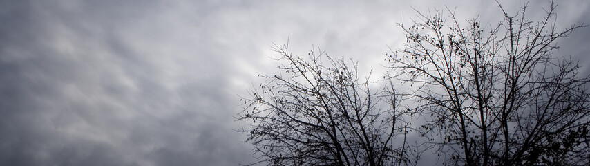 Fototapeta na wymiar Zimowe niebo