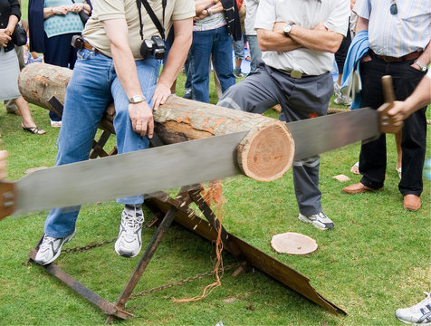 concurso de sierra de troncos