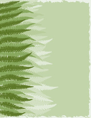 Shades of Green Fern Fronds Background