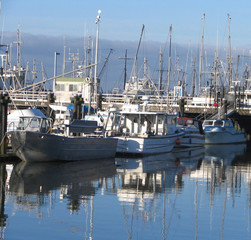 Fishing boats in dock