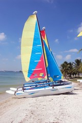 Catamaran Sailboats on Key Biscayne