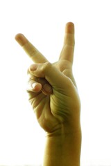 peace or victory sign with fingers