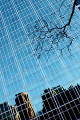 New York City building