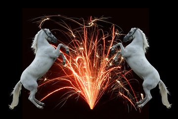 Fireworks and horses