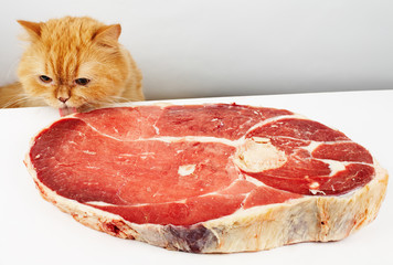 Cat reach the meat and go to feast