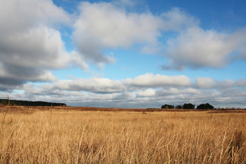 Obraz premium Field and clouds
