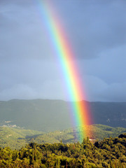 Regenbogen