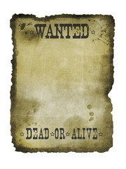 Dead or alive reward paper sign