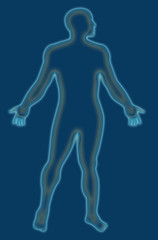 Human anatomy