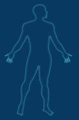 Obraz na płótnie Canvas Human anatomy x-ray style