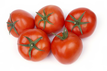Tomatoes