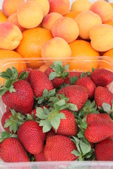 Strawberries together with oranges and apricots