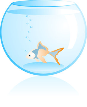 goldfish swimming in blue fishbowl clip art preview