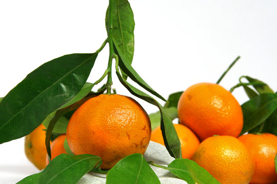 mandarine