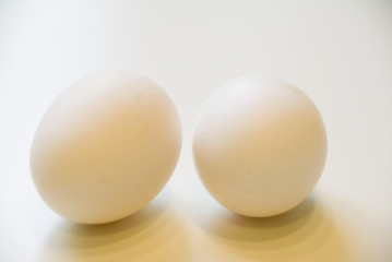 White eggs