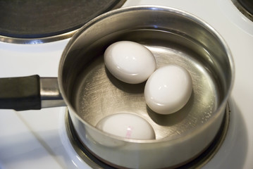 Fototapeta na wymiar Eggs ready to boil