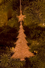 Xmas Dec
