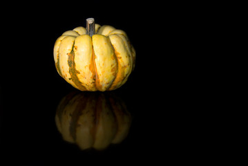 Small Pumpkin