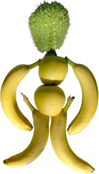 Lo zuccone