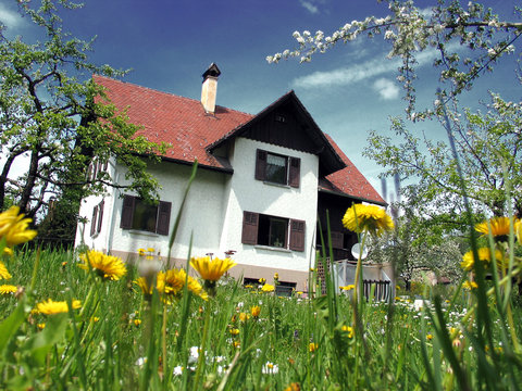 im Gr&uuml;nen
