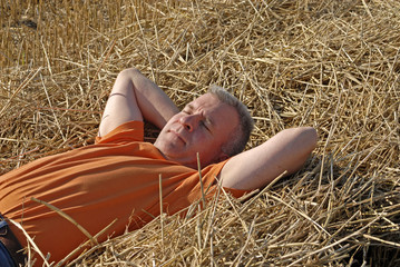 Naklejka na ściany i meble homme adulte couché dans un champ de blé