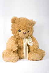 bear