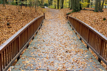 Wooden footbridge in fall
