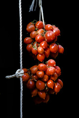 Pomodorini